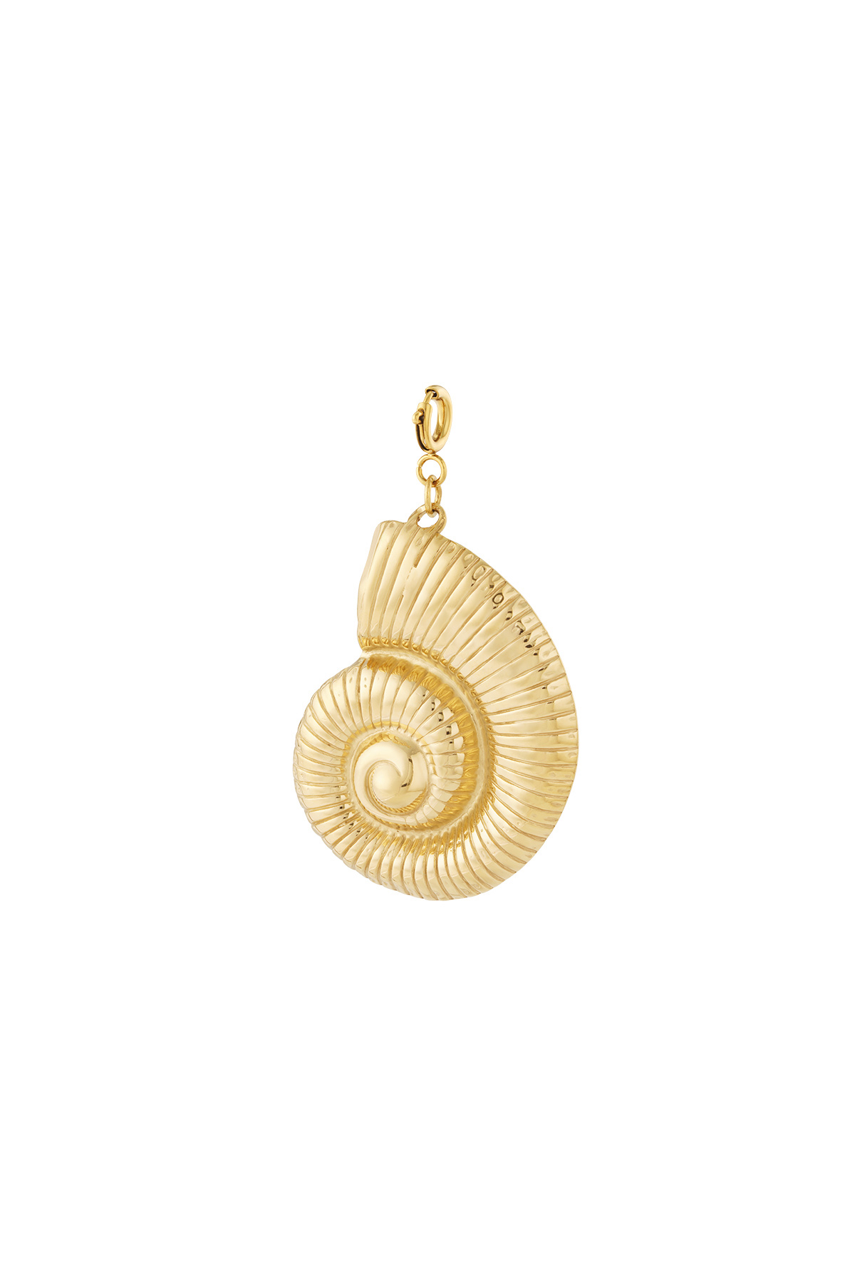 Seashell jewelry charm