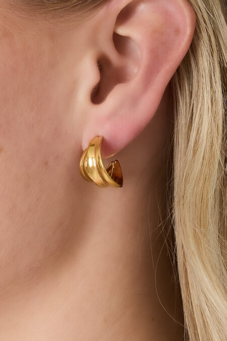 Polished loop earrings